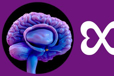 Animaatiokuva violeteista aivoista, joissa pieni aivolisäke on värjätty oranssiksi. Lisäksi Kilpirauhasliiton logo oikeassa laidassa osittaisena.