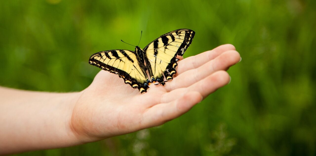 Henkilön kädellä on perhonen.