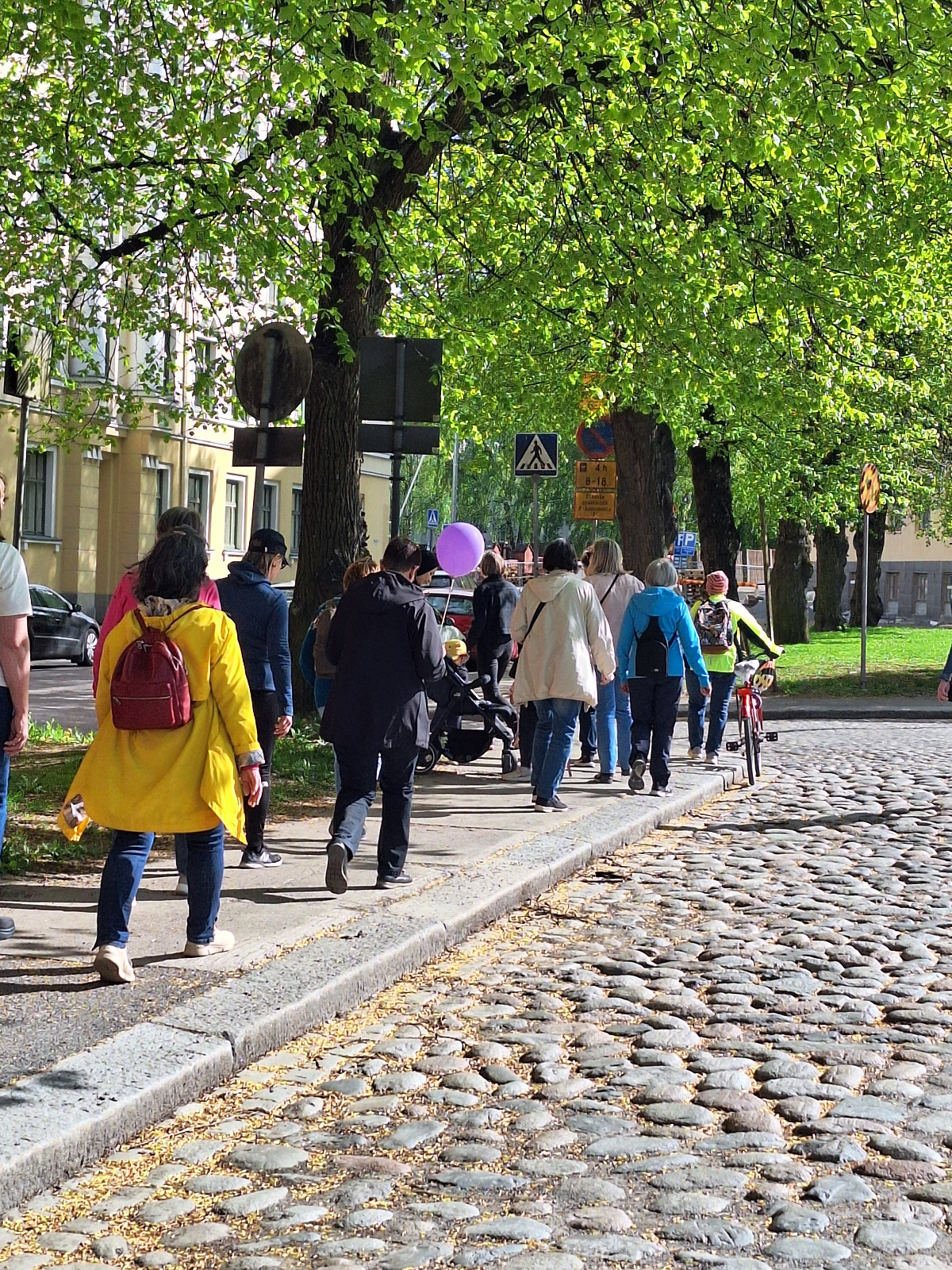 Henkilöitä kävelee kävelytiellä. Taustalla lehmuksia, etuosassa mukulakiviä.