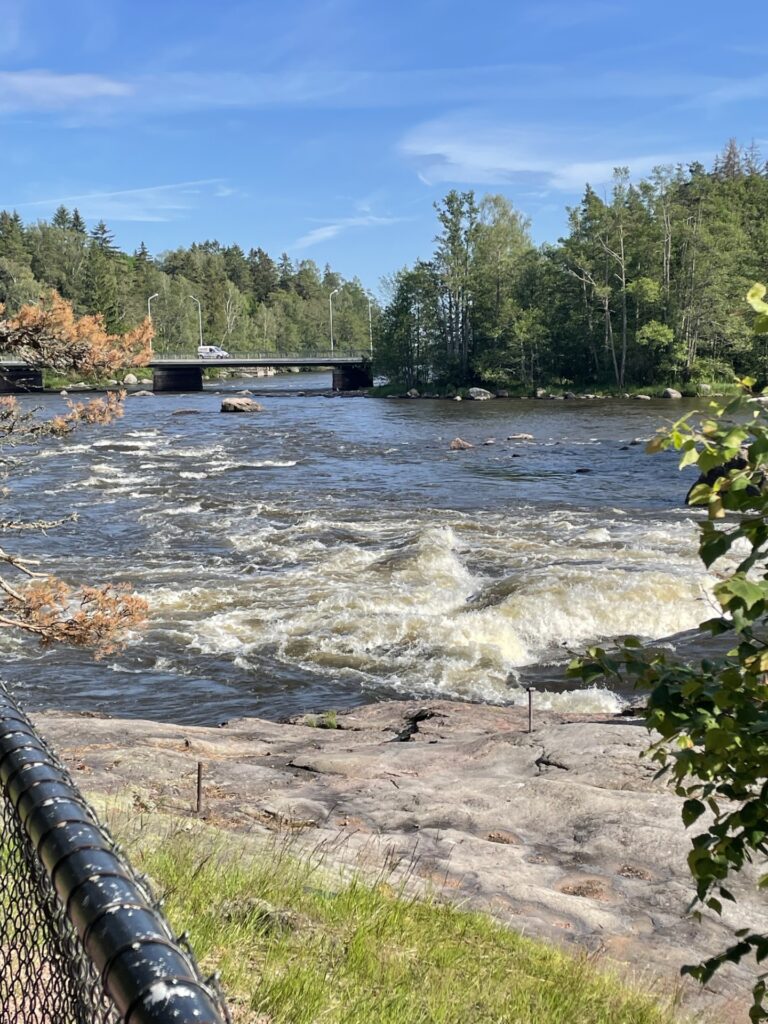 Kesäinen koskimaisema